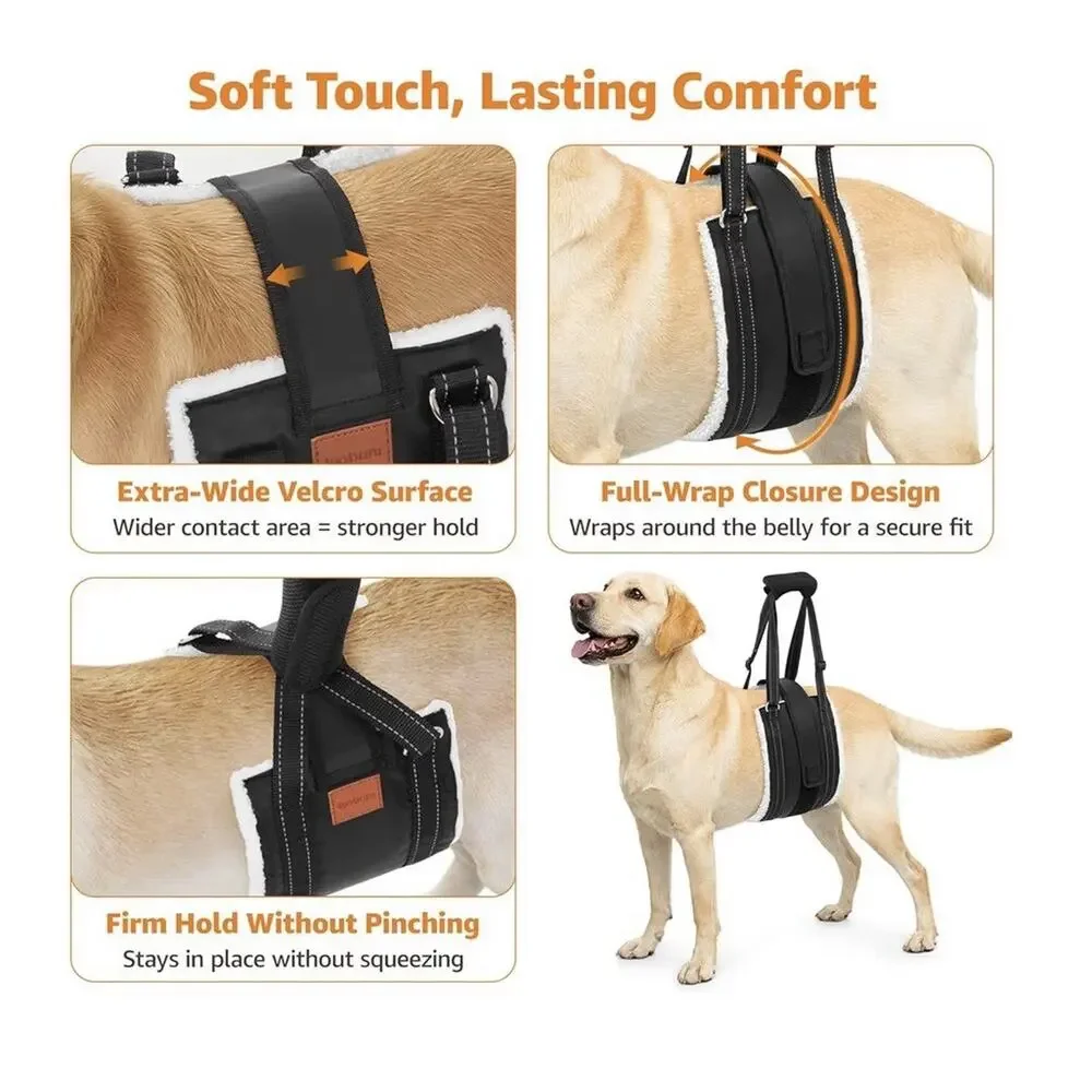 LOOBANI Dog Lift Harness XL Rear Leg Support Sling Hip Arthritis Rehab Aid